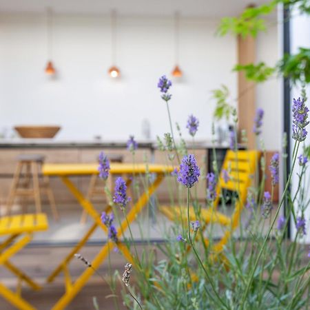 Maison-Loft De Standing Autour De Son Patio Vannes Extérieur photo